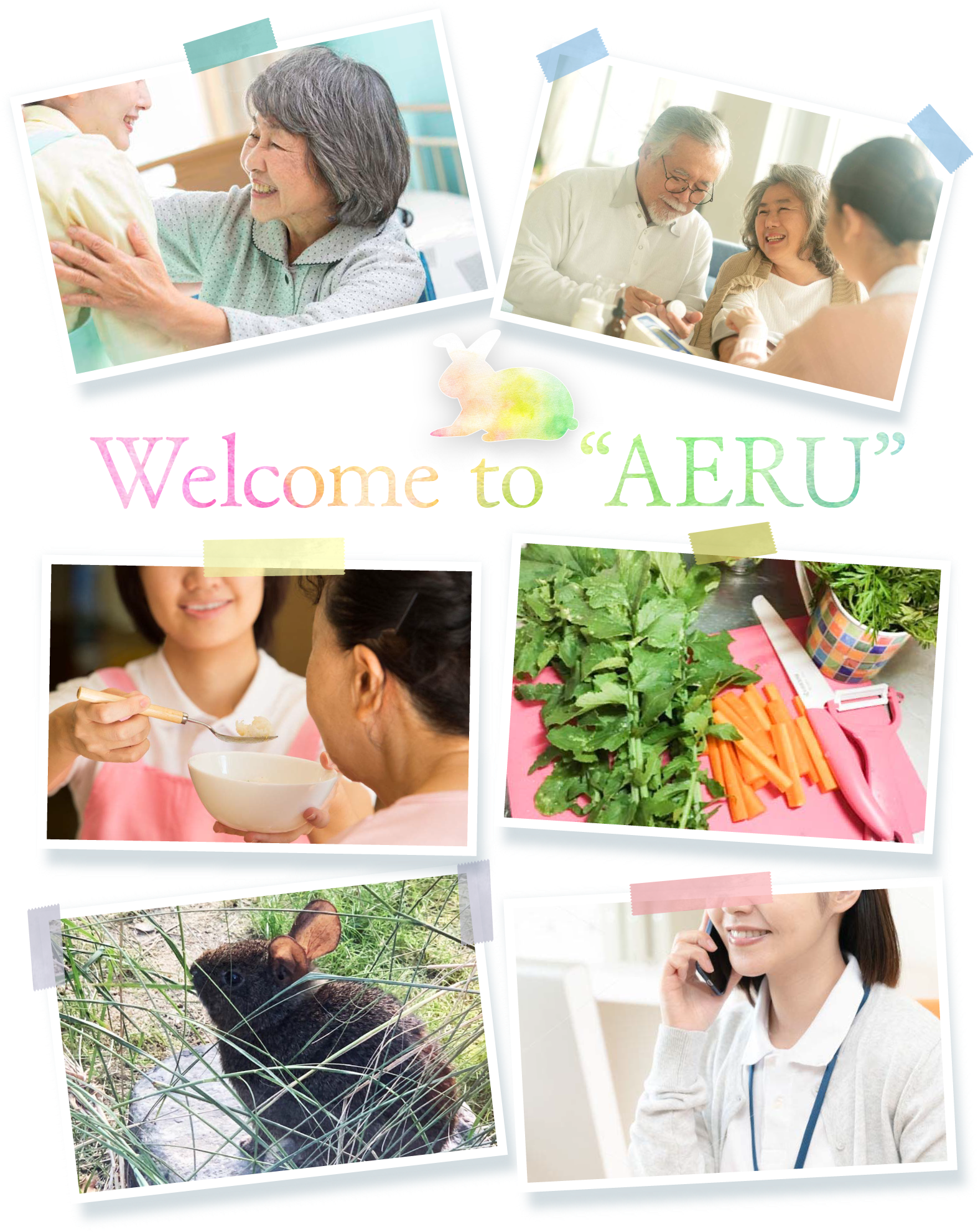 Welcome to AERU