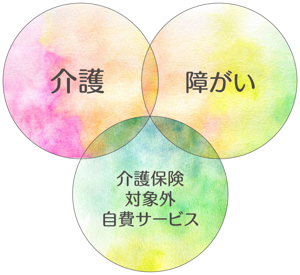 介護　障害　介護保険対象外サービス