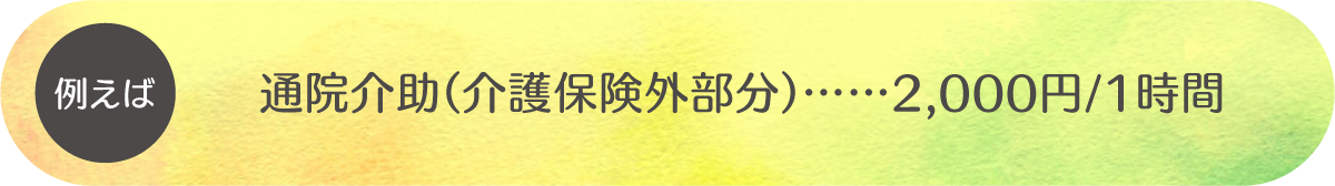 例えば通院介助（介護保険外部分）……2000円/1時間