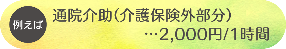 例えば通院介助（介護保険外部分）……2000円/1時間